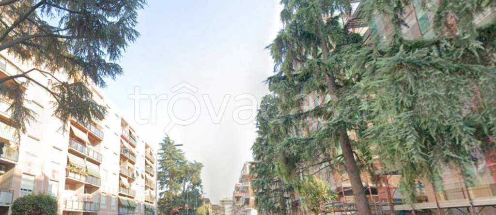 immagine annuncio 3 di 14