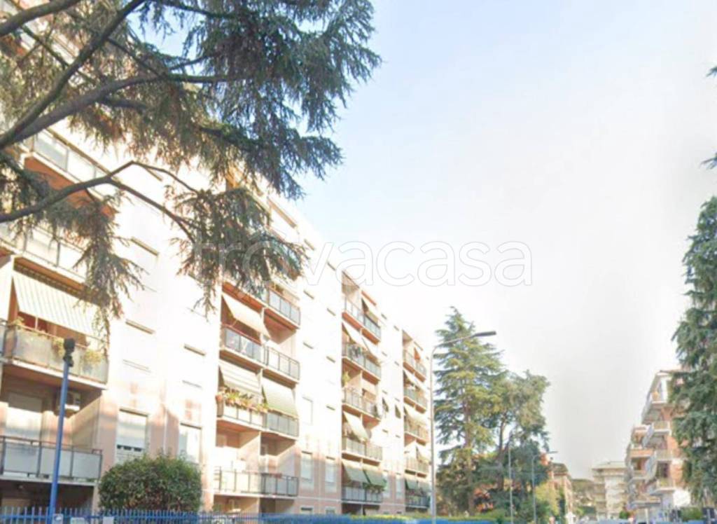 immagine annuncio 1 di 14