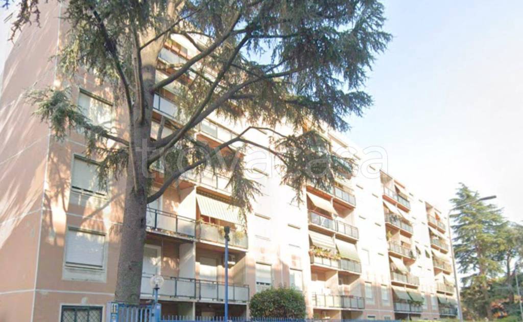 immagine annuncio 2 di 14