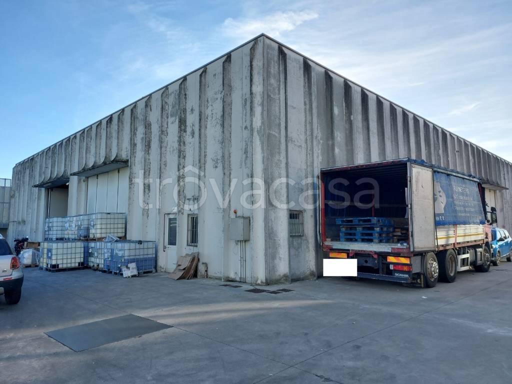 immagine annuncio 2 di 6