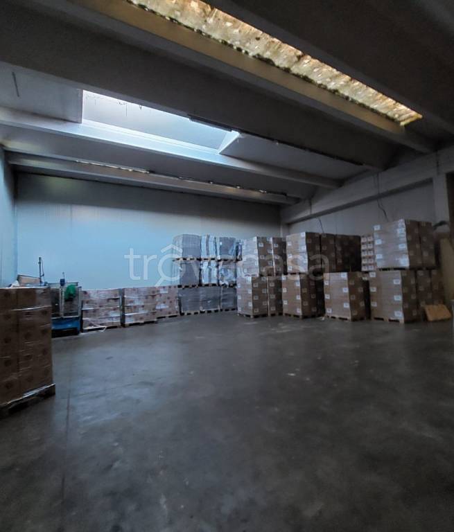 immagine annuncio 3 di 6