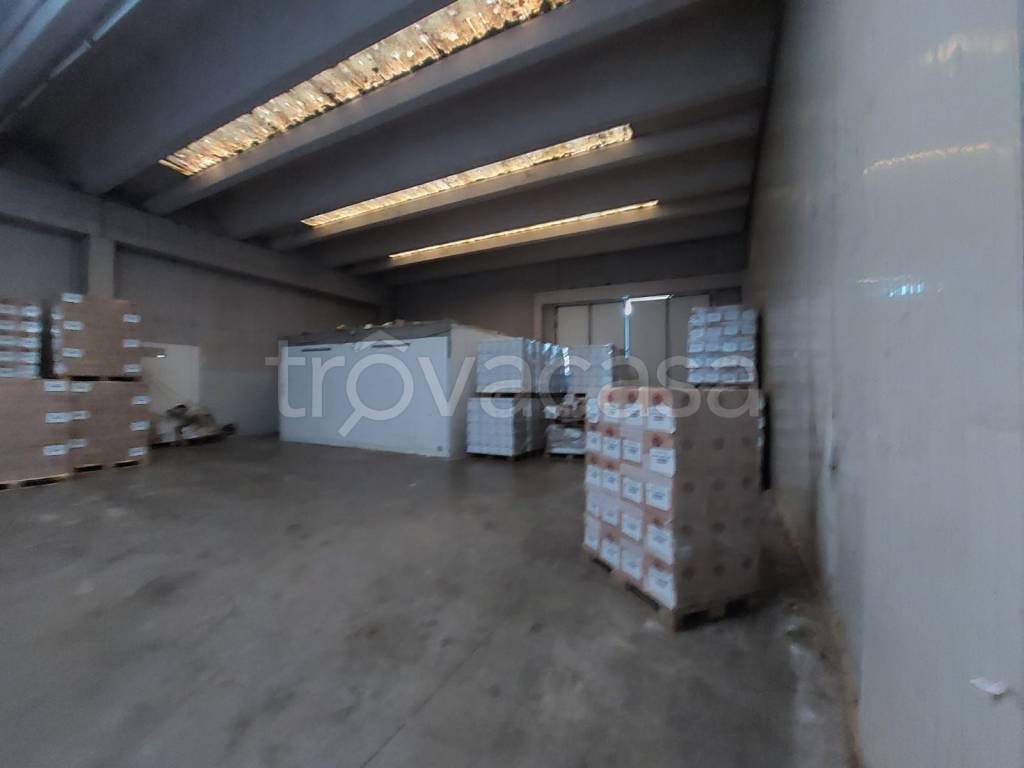 immagine annuncio 4 di 6