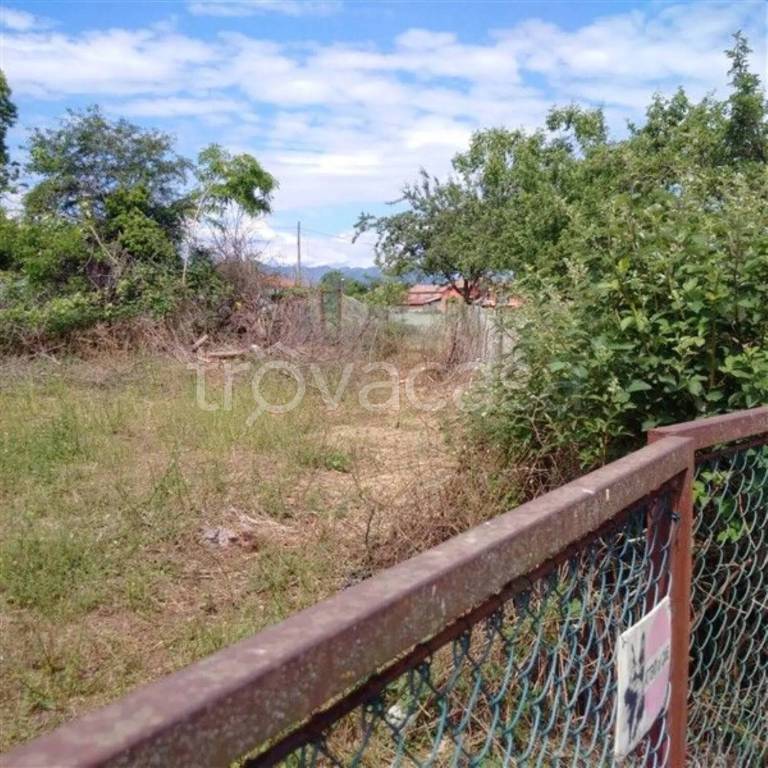 immagine annuncio 1 di 6