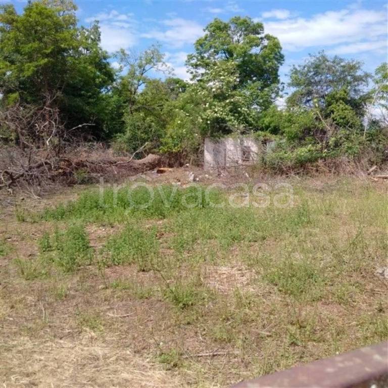 immagine annuncio 2 di 6