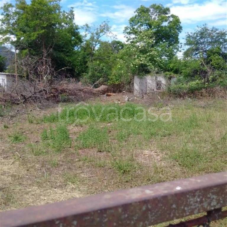 immagine annuncio 3 di 6