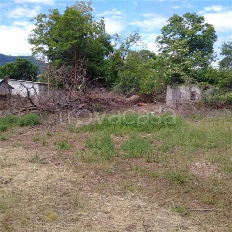 immagine annuncio 4 di 6