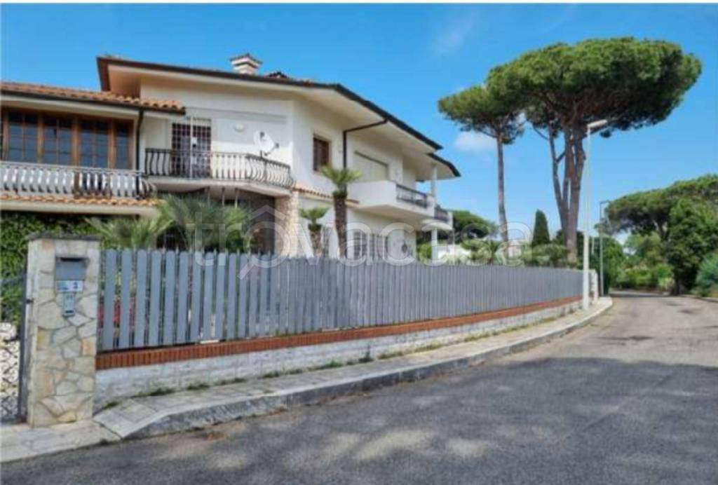 immagine annuncio 3 di 14