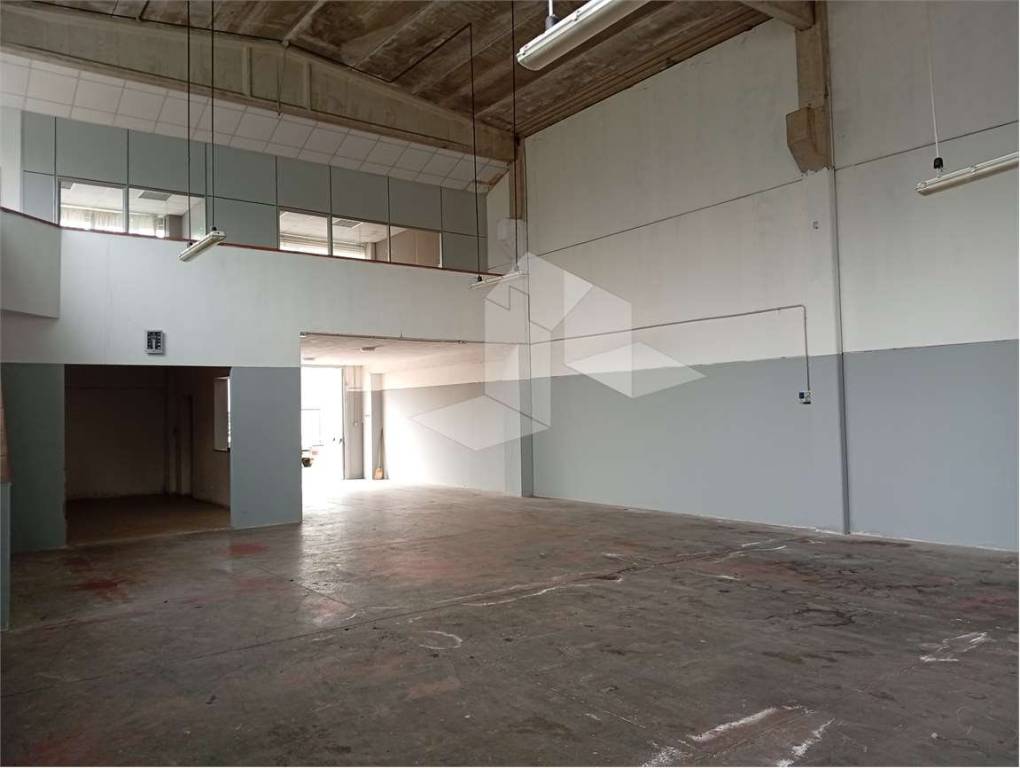 immagine annuncio 3 di 7