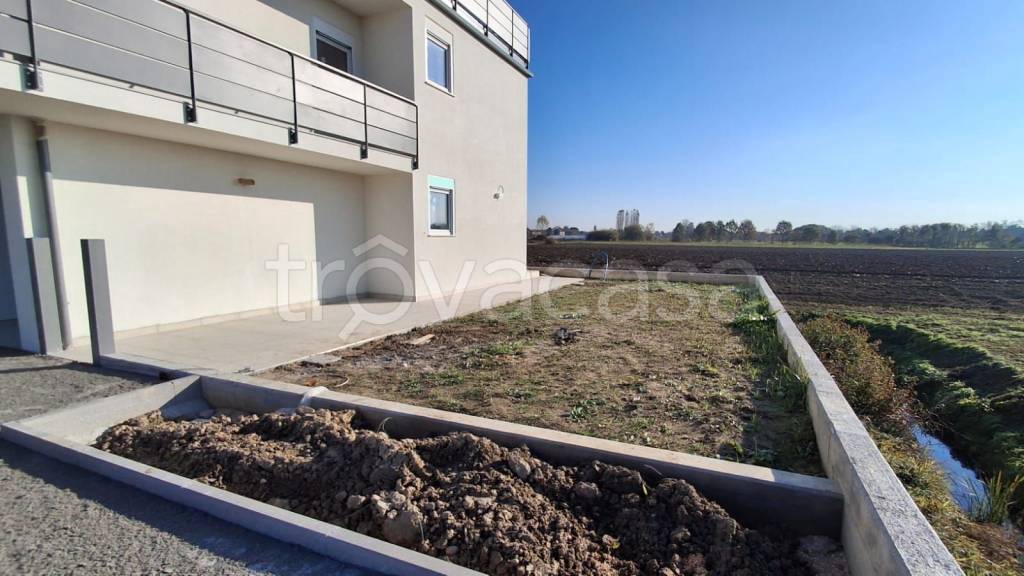 immagine annuncio 9 di 12