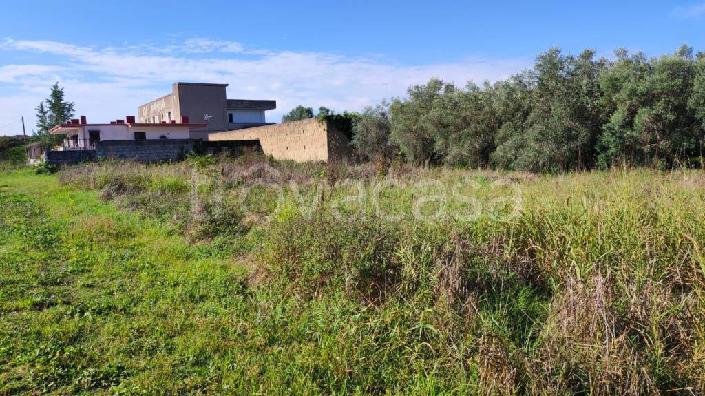 immagine annuncio 1 di 12