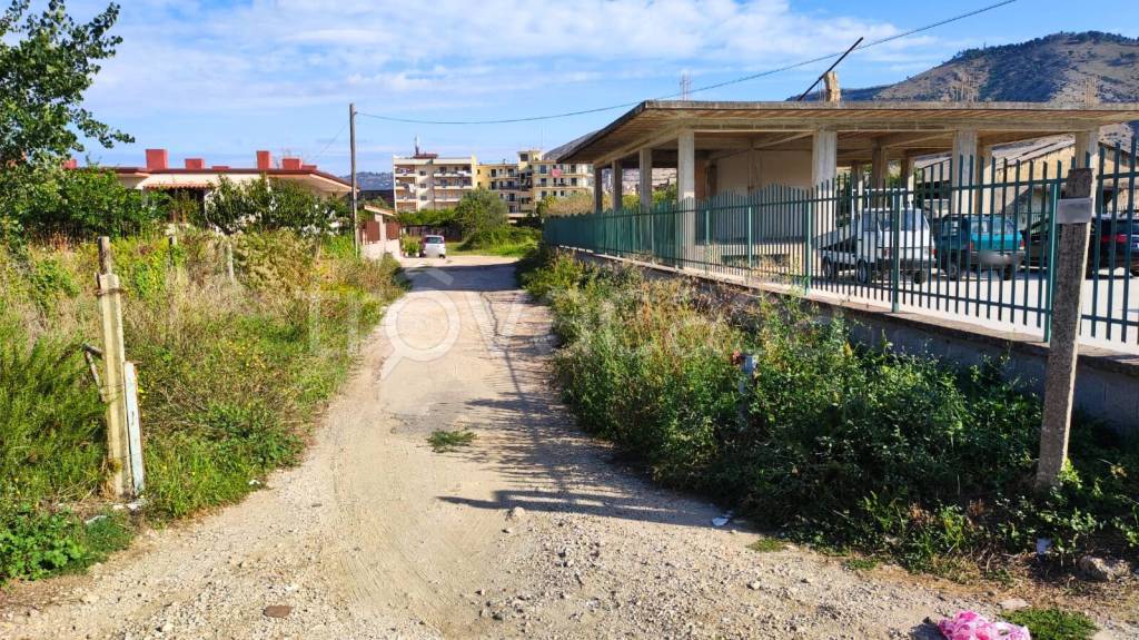 immagine annuncio 2 di 12