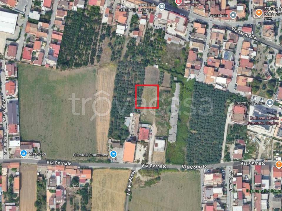 immagine annuncio 9 di 12