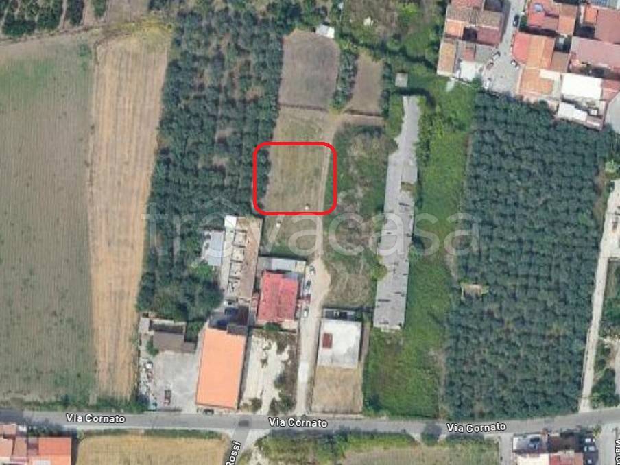 immagine annuncio 10 di 12