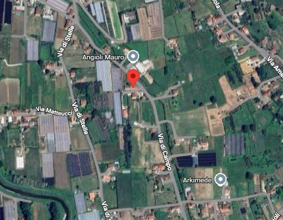 immagine annuncio 2 di 10