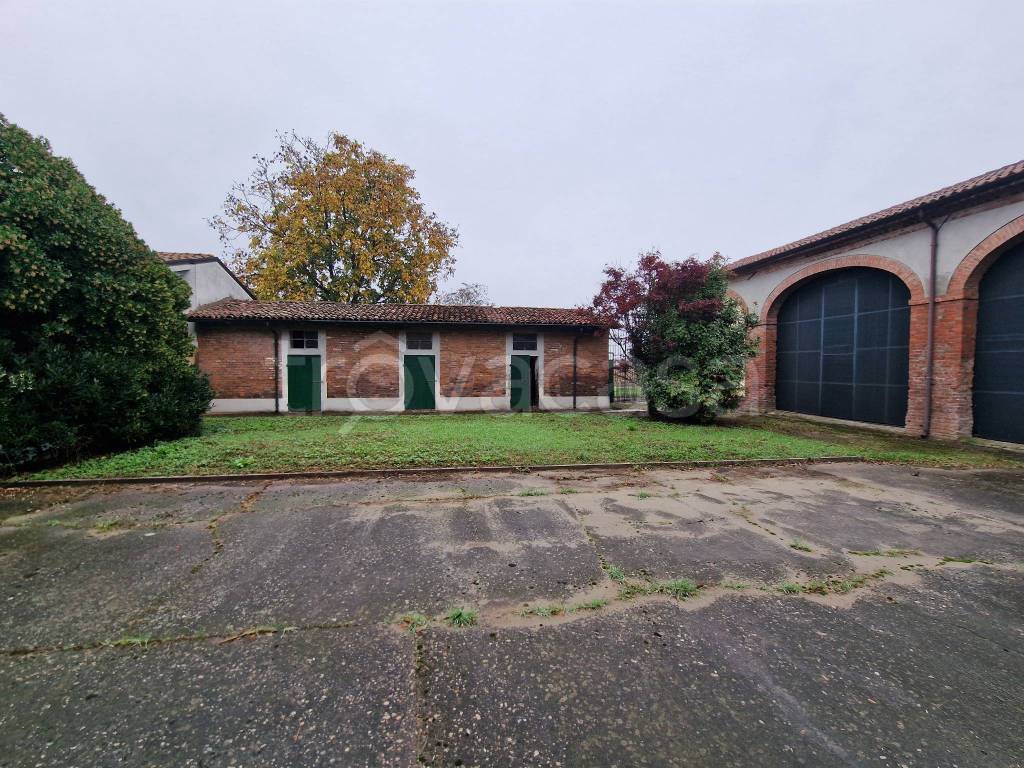 immagine annuncio 10 di 15