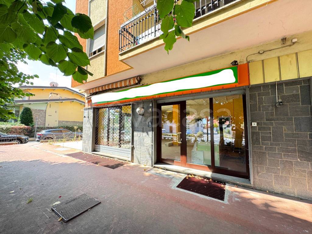 immagine annuncio 1 di 12