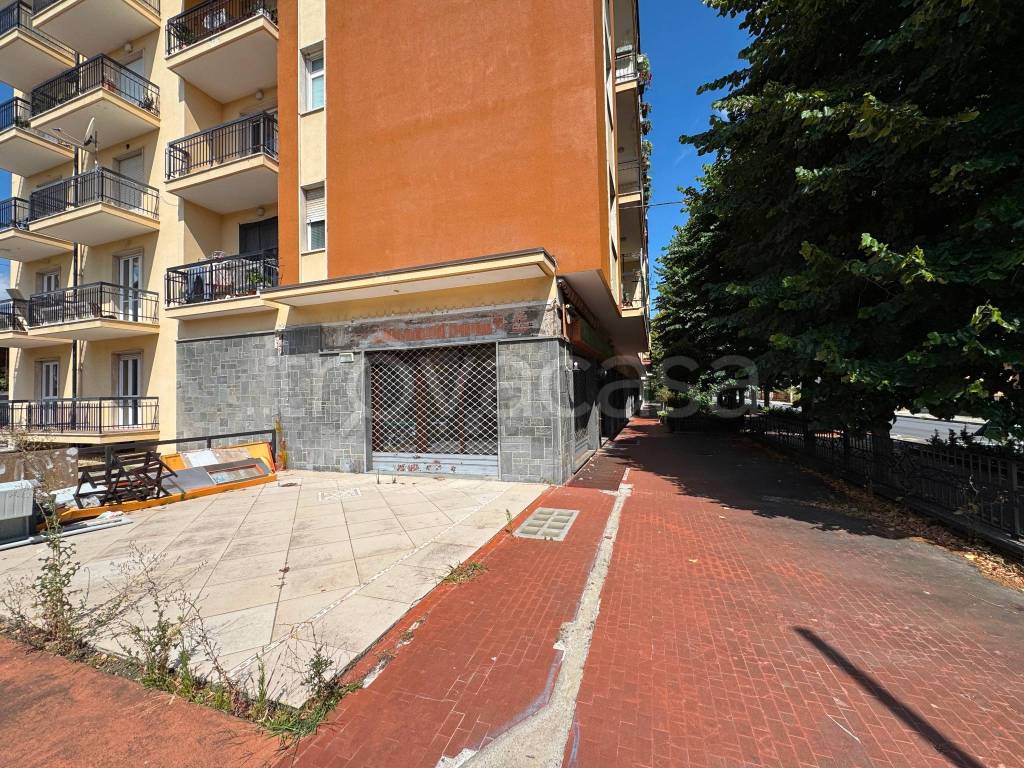 immagine annuncio 3 di 12