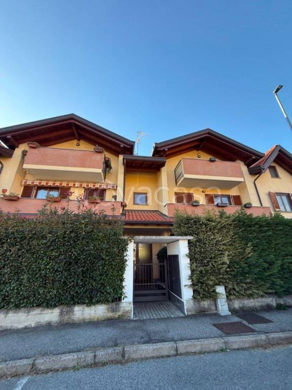 immagine annuncio 4 di 15