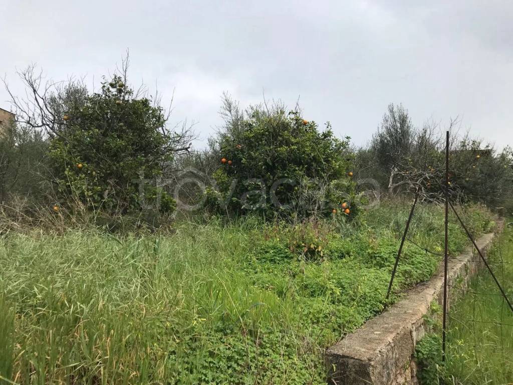 immagine annuncio 4 di 7