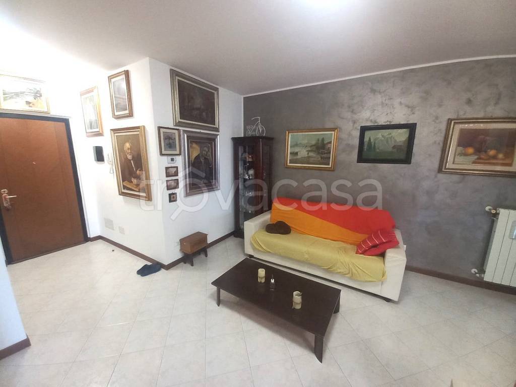 immagine annuncio 1 di 14