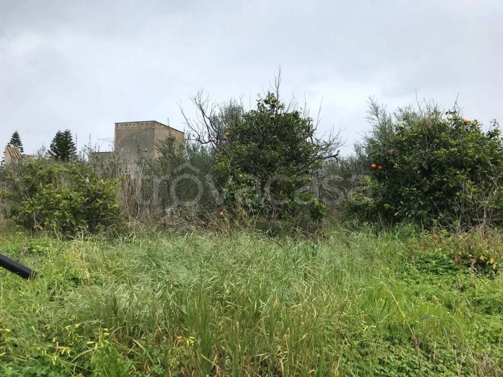 immagine annuncio 5 di 7