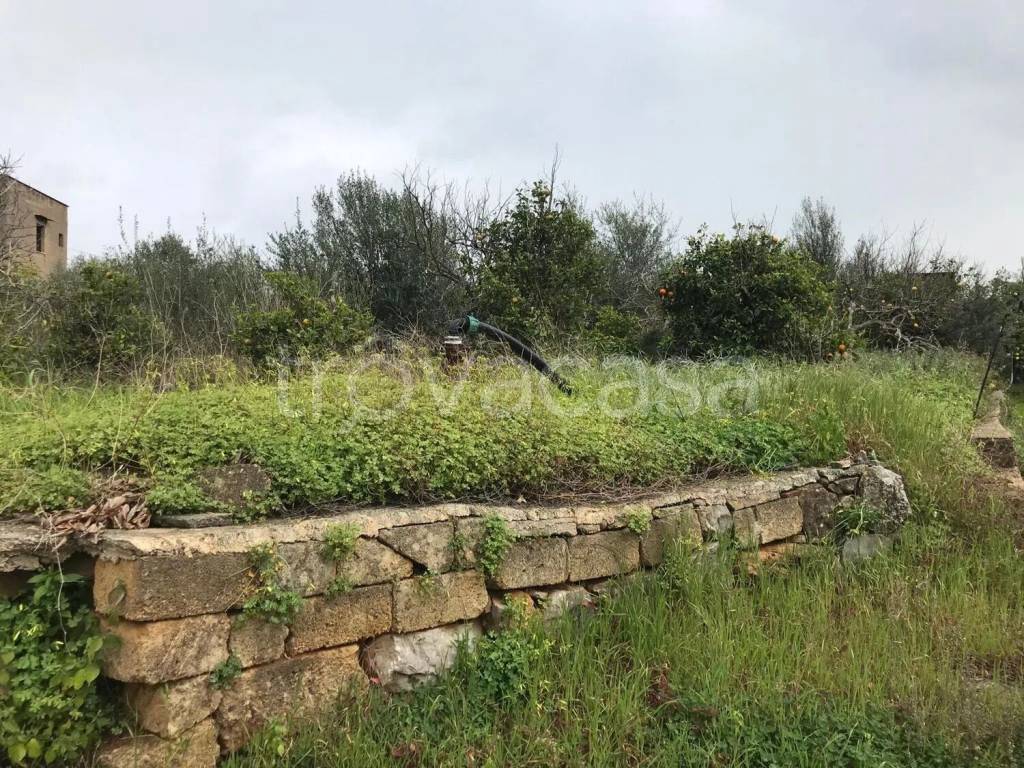 immagine annuncio 6 di 7