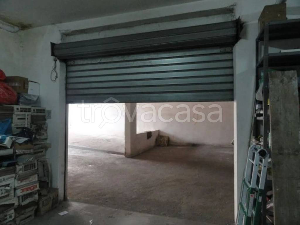 immagine annuncio 5 di 8