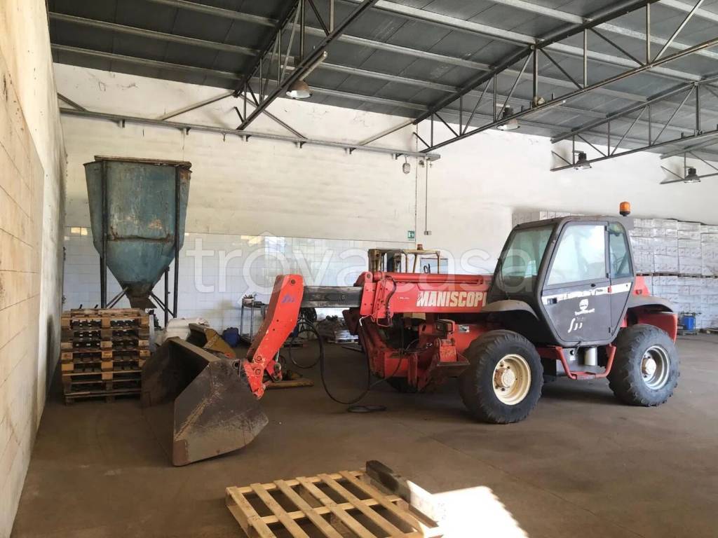 immagine annuncio 2 di 7