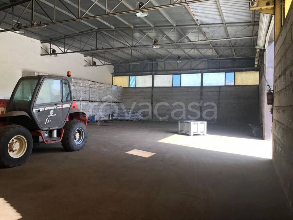 immagine annuncio 3 di 7