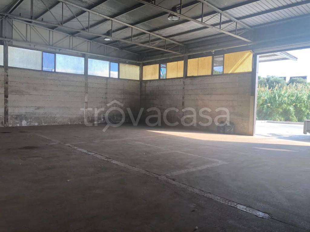 immagine annuncio 5 di 7