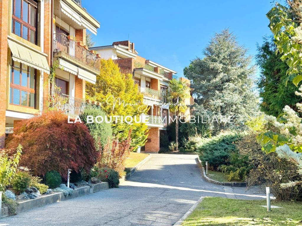 immagine annuncio 2 di 14