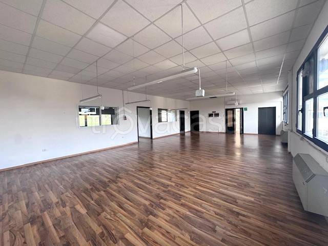 immagine annuncio 2 di 7