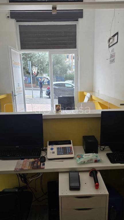 immagine annuncio 4 di 9