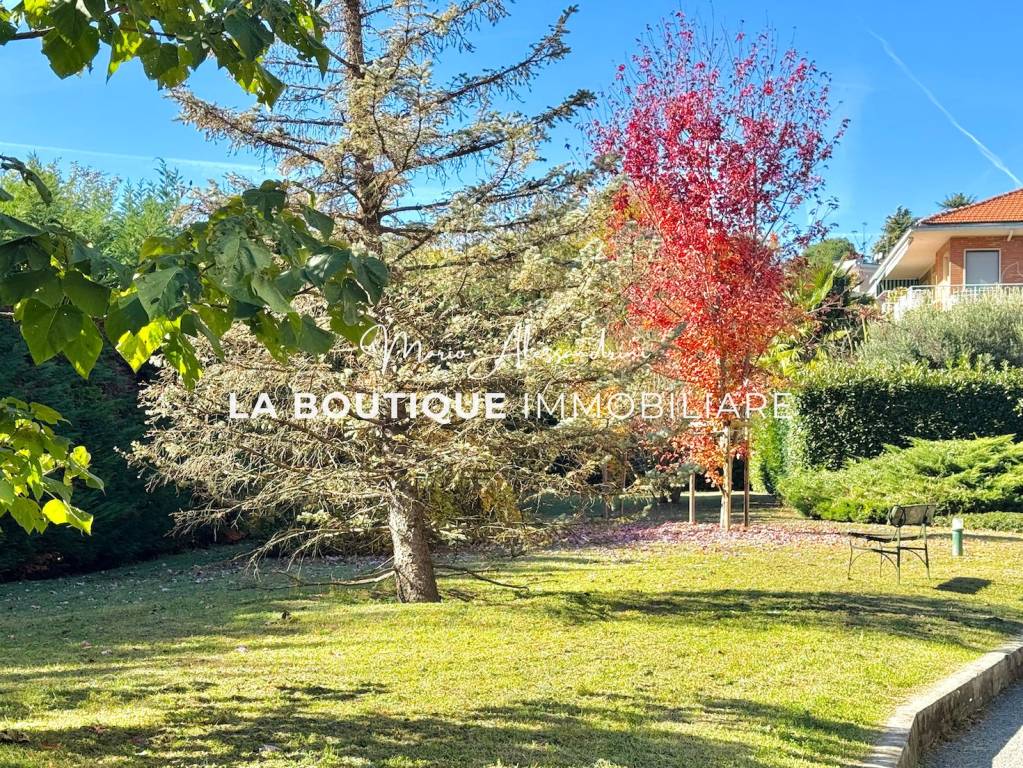 immagine annuncio 7 di 14