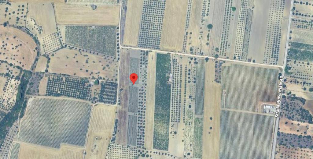 immagine annuncio 1 di 10