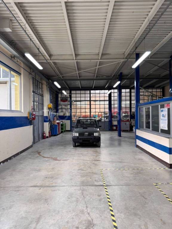 immagine annuncio 5 di 15