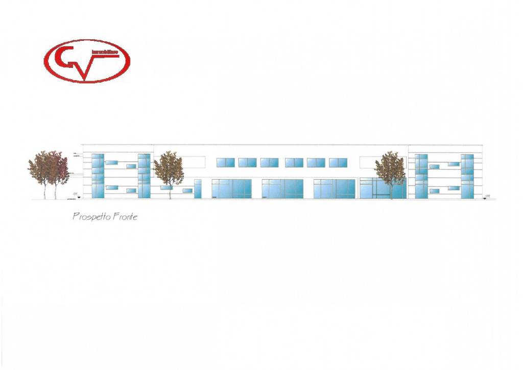 immagine annuncio 2 di 8