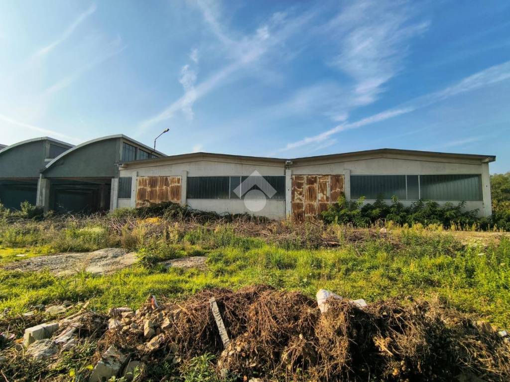 immagine annuncio 2 di 9