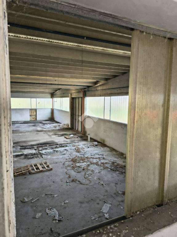 immagine annuncio 5 di 9