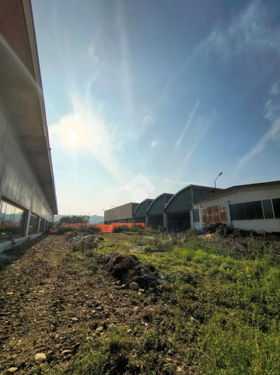 immagine annuncio 8 di 9