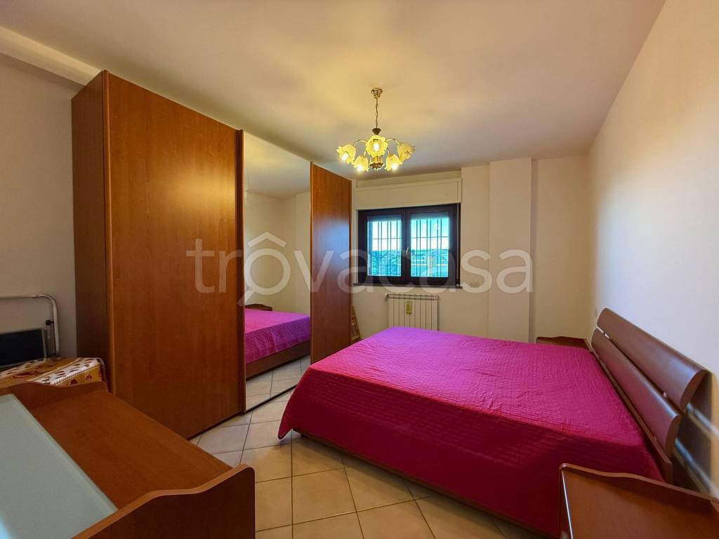 immagine annuncio 5 di 13