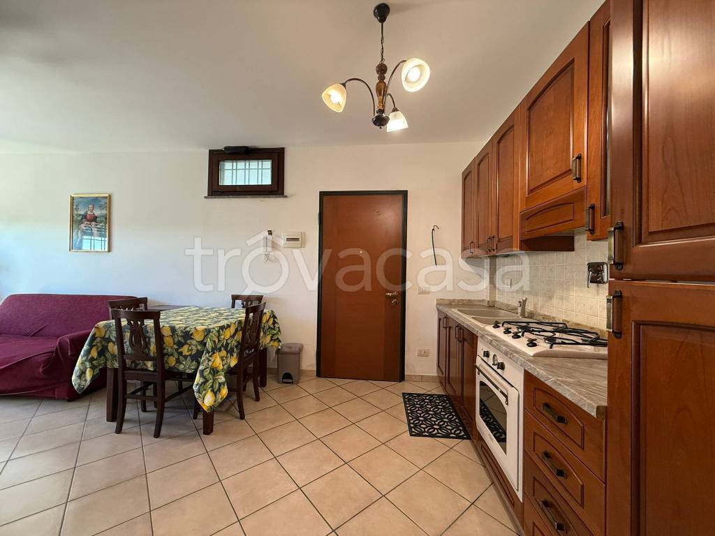 immagine annuncio 1 di 13