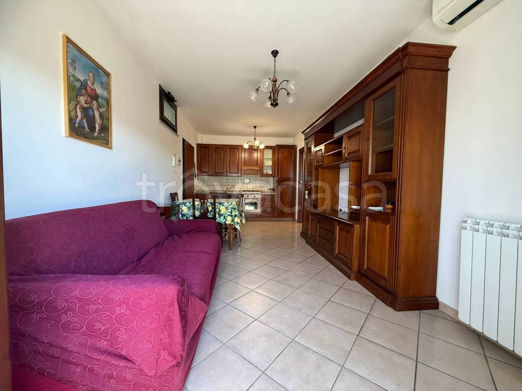 immagine annuncio 2 di 13