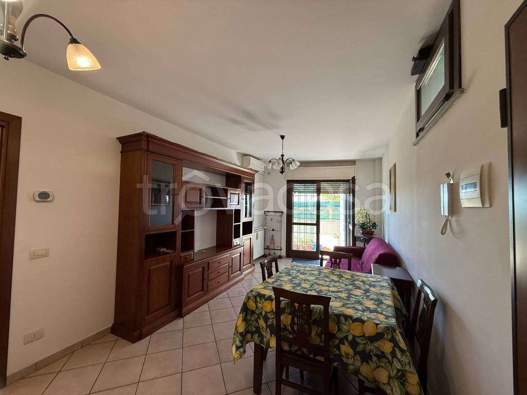 immagine annuncio 4 di 13