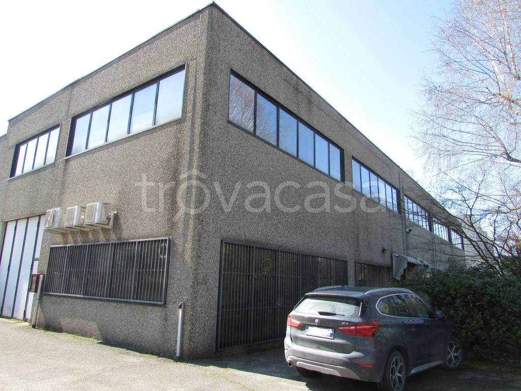 immagine annuncio 1 di 11