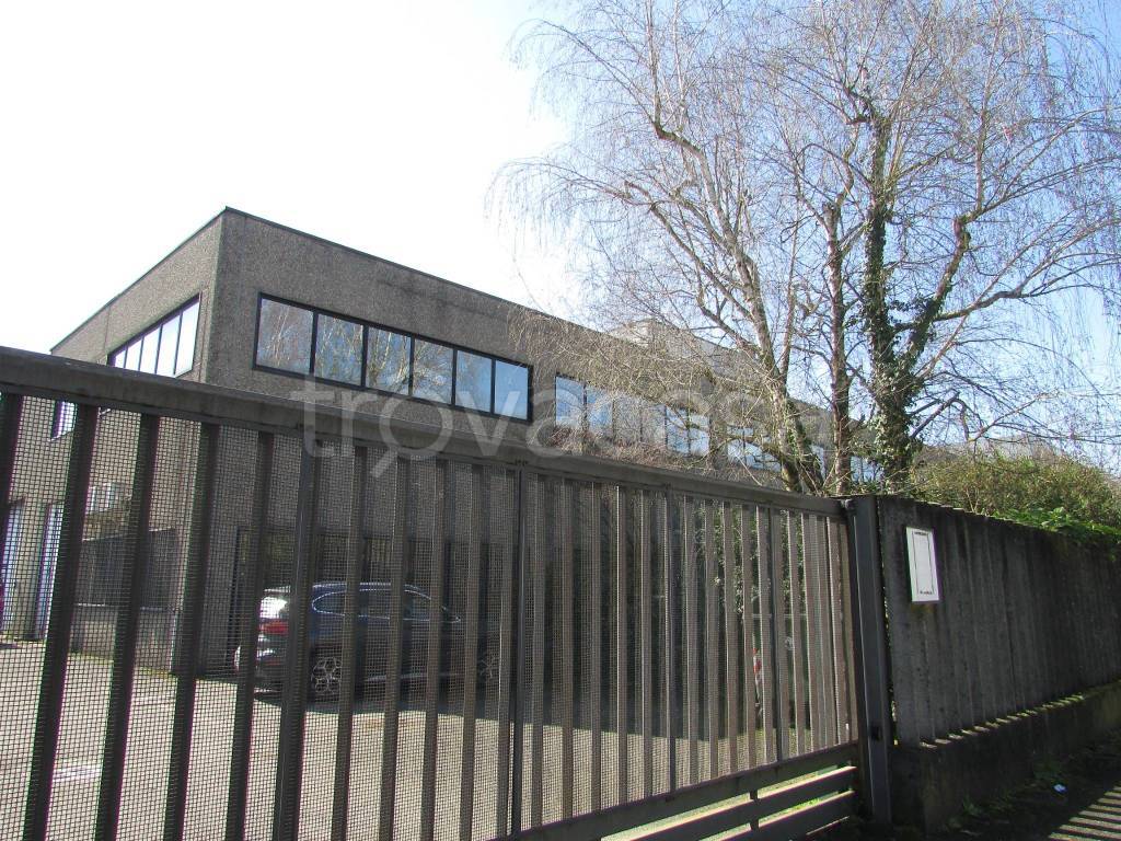 immagine annuncio 10 di 11