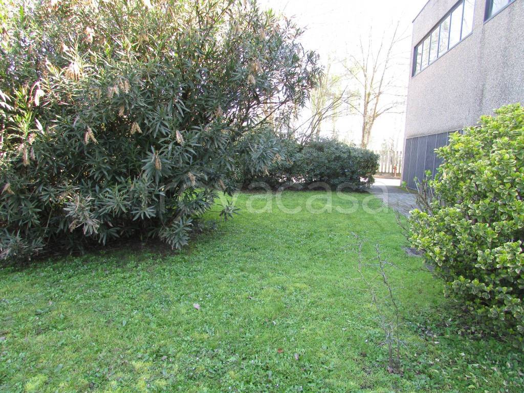 immagine annuncio 7 di 11