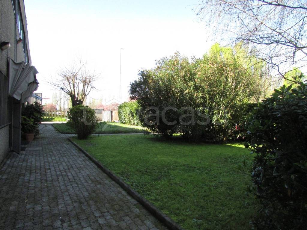 immagine annuncio 8 di 11