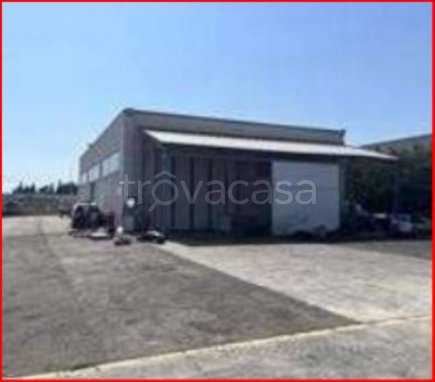 immagine annuncio 2 di 12