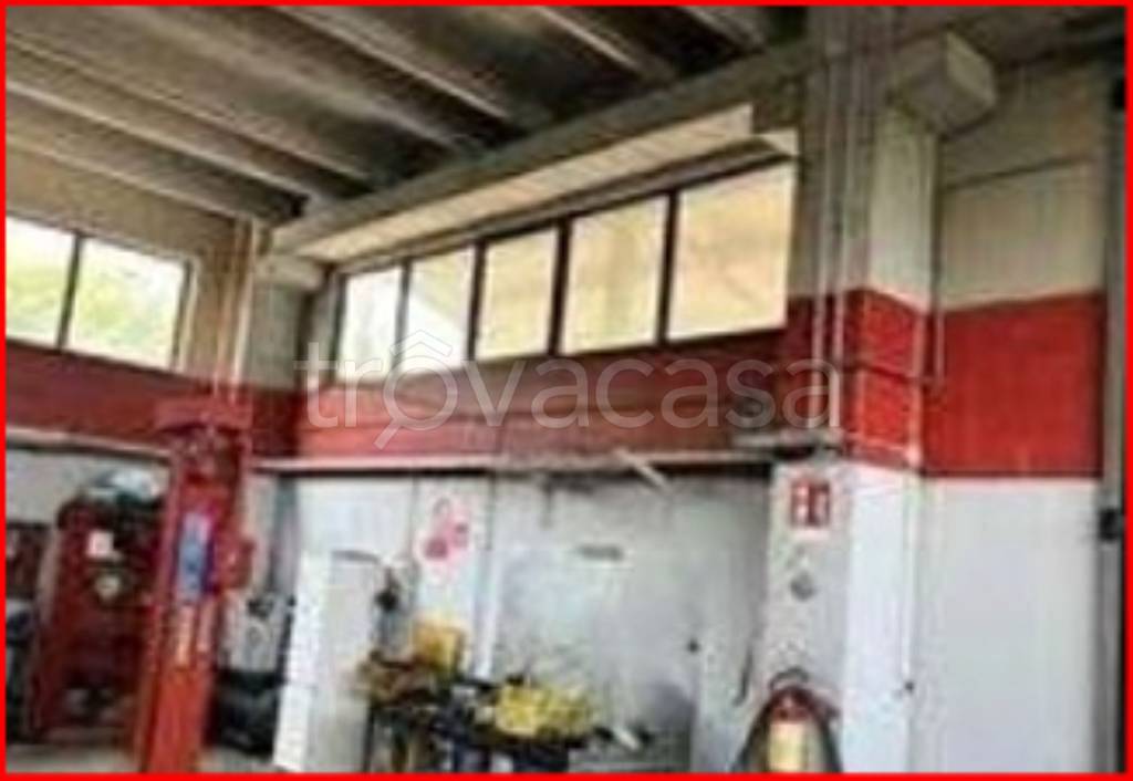 immagine annuncio 3 di 12